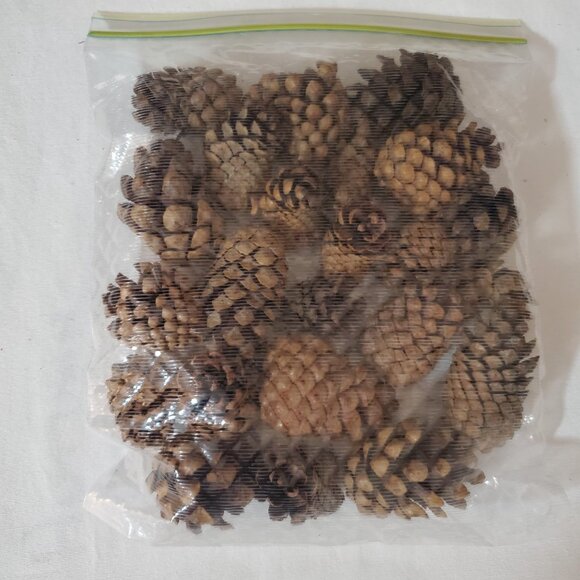 Natural Unscented Wooded Pinecones – Holiday Décor – Bag of (23) Pieces - Picture 4 of 4